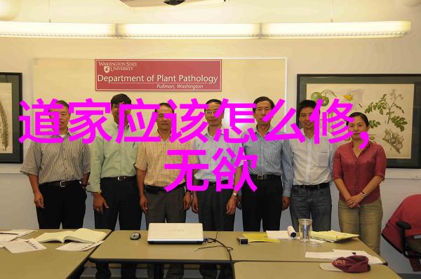 绽放的音韵探索好听文雅名字背后的文化魅力