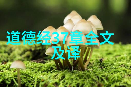 王羲之兰亭序的艺术魅力与文化影响书法艺术的典范