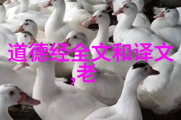 冬日墨韵探究书法作品落款艺术在寒冷季节中的表现与意义