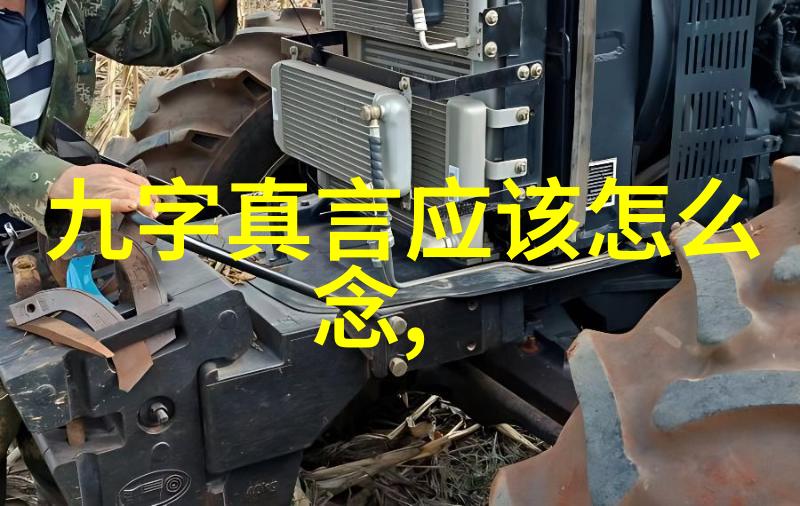 道家经典名言100句-道德经智慧解读李清照诗中的道家哲学