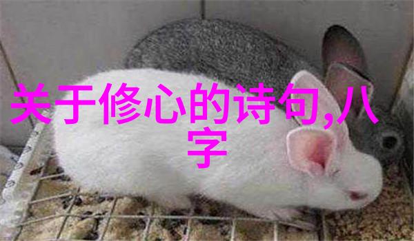 道家之源探寻道家的鼻祖与哲学根基