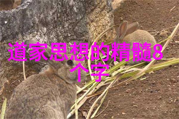 至简之道寻觅心灵的璀璨点缀