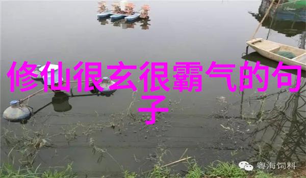 老师的身影如同巨大的山脉遥远而又近在咫尺他的笑容是那样的温暖让人感觉就像是走进了一个安全的港湾在这个