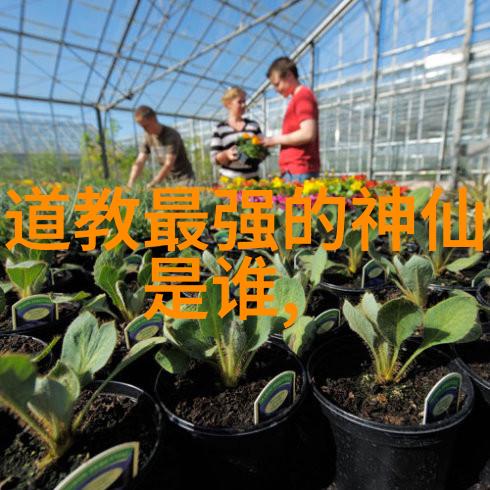 武侠秘籍-解锁引雷诀手势之谜揭秘古老武学中的电力控制术