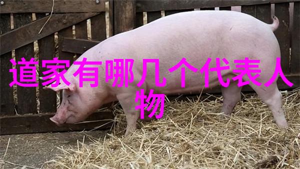 一分钟体验非会员试看的独特视角