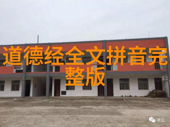 人道不可欺揭露真相的力量社会正义公平正义人权保护