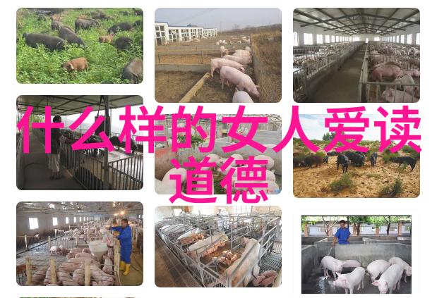 道家代表人物及其管理思想老子在公司如何用道家智慧打造和谐团队