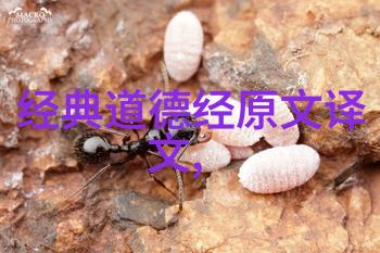 李白诗词鉴赏及赏析品味千古我眼中的李白诗词