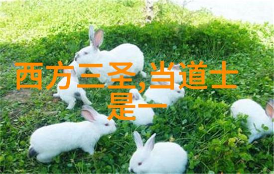 语言游戏和语境解读在现代诗歌赏析中怎样去理解复杂多变的情境