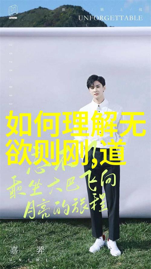智慧圆满解析禅宗修行中的一念间至高境界