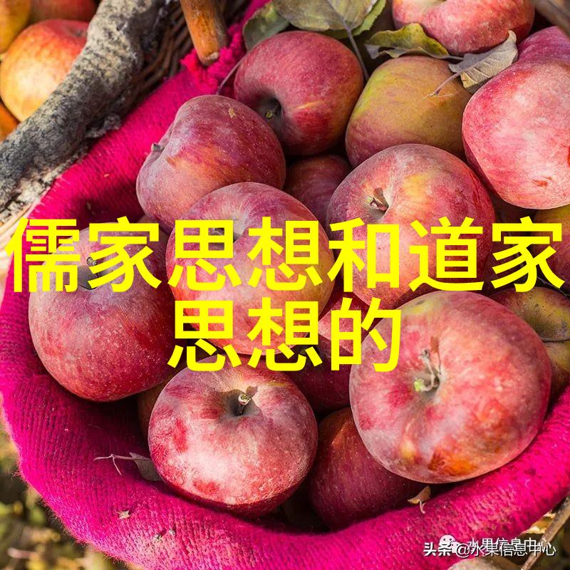 兰亭序墨韵中寻古今的哲思