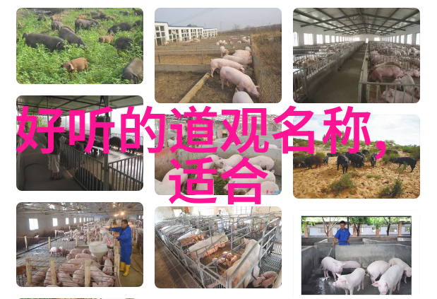 无为则无所不为什么意思-自然之道探索无为智慧的奥秘