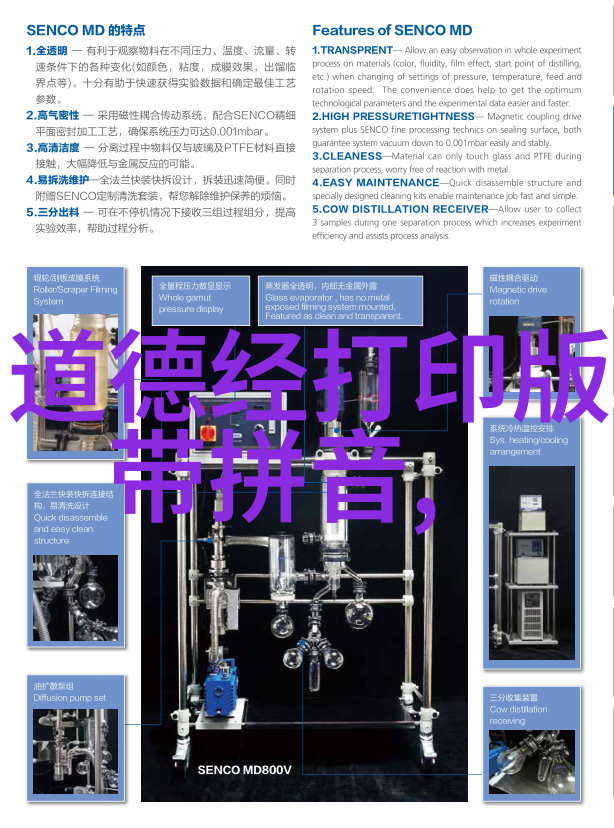 道家哲学的光辉春秋战国时期代表人物与思想的探索