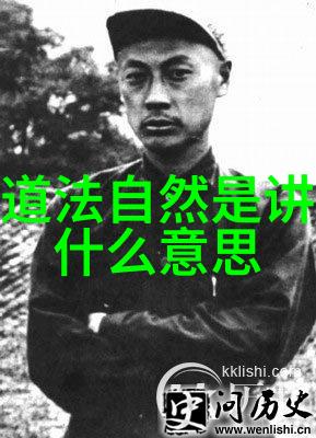 无欲则刚的哲学深度探究理解克制与内在力量的平衡