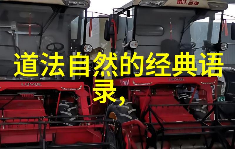 修行的方法有哪些-探索内心之路修炼技巧与精神实践
