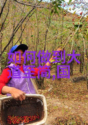 北塘上的民居生活与艺术交融的奇迹