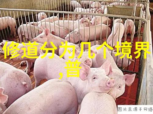 道家的鼻祖天地之间的智慧之风