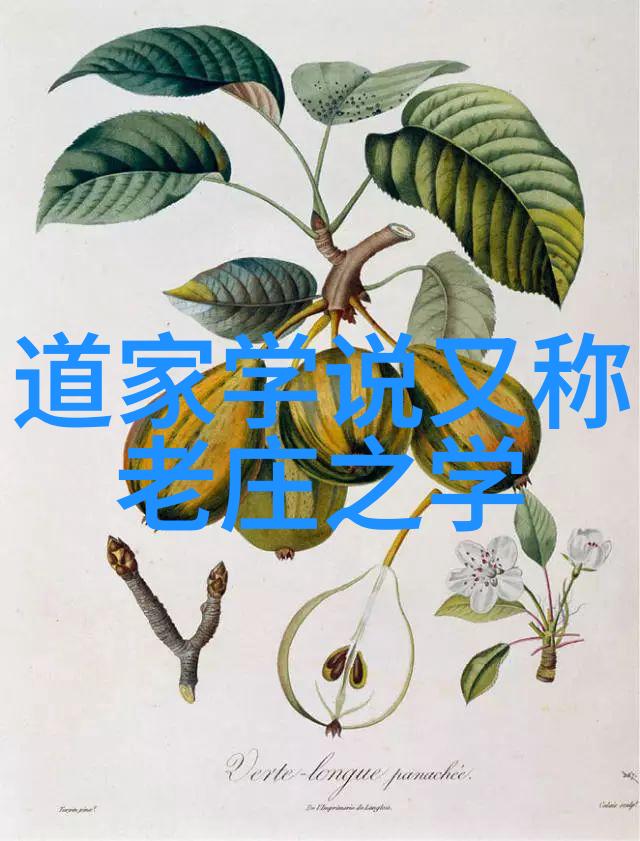 在追求成功的过程中我们是否应该学习到无为的艺术