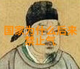 道家代表人物在面对环境保护问题时会采取哪些行动