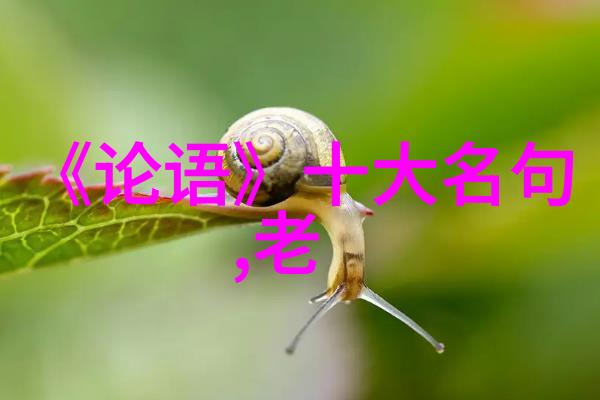 对于身处快节奏社会的人来说无为而有所成是一个什么样的挑战和机遇