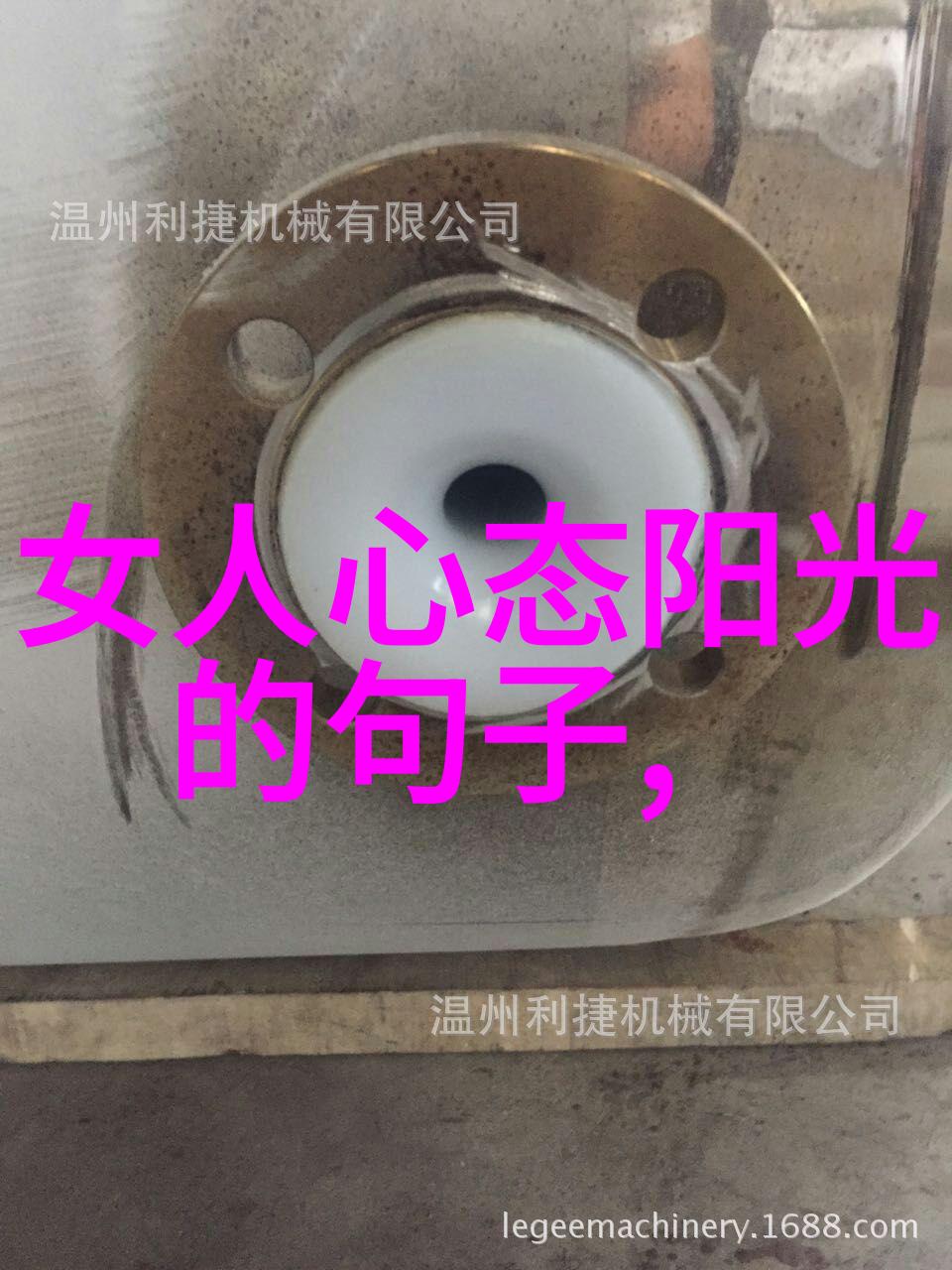 道家文化探索-揭秘道家从老子到张三丰的智者之路