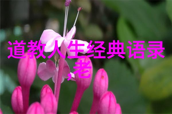 3. 太上感应篇中的道教哲学观念是什么