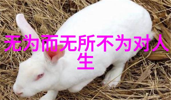 隐逸之美探究东方文化中的隐者精神和价值取向