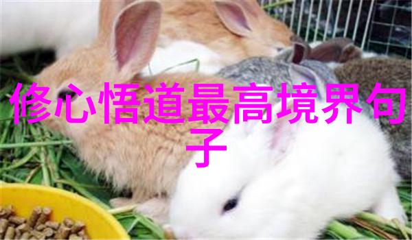未来的社会发展对于家族世袭身份的认定可能带来哪些变化