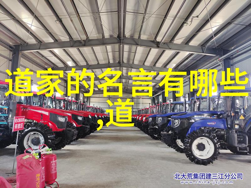 理性思考思想道德与法律相辅相成的逻辑