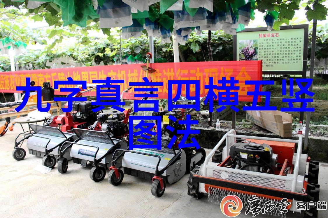 道教圣贤背后的神秘历史上那些令人困惑的传说与事迹