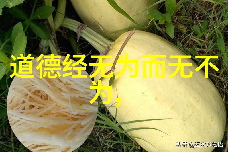 勇者无畏-不屈的意志勇者无畏的征途