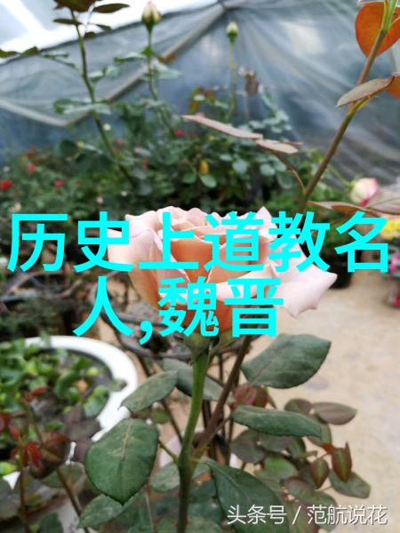 探究道教哲学之深邃解读其对人生与宇宙的看法