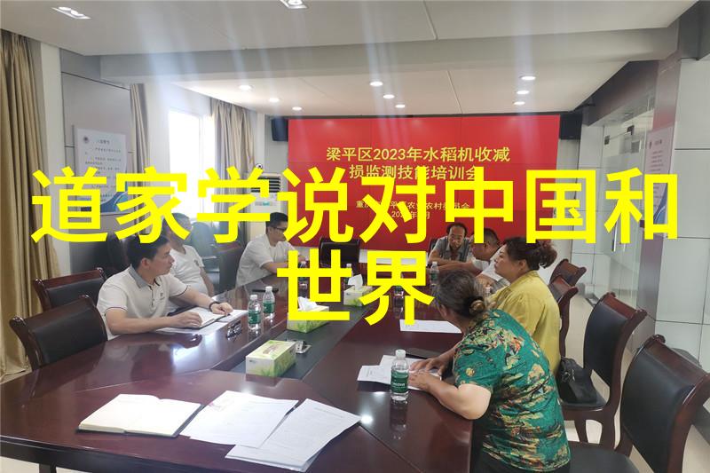 道法自然从静坐到全球视野的哲学跃动