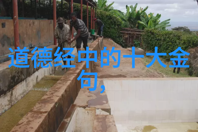 第二章道德经的启示对当代社会的思考