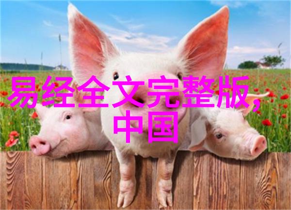 中国书画印章的艺术传承与现代应用探究