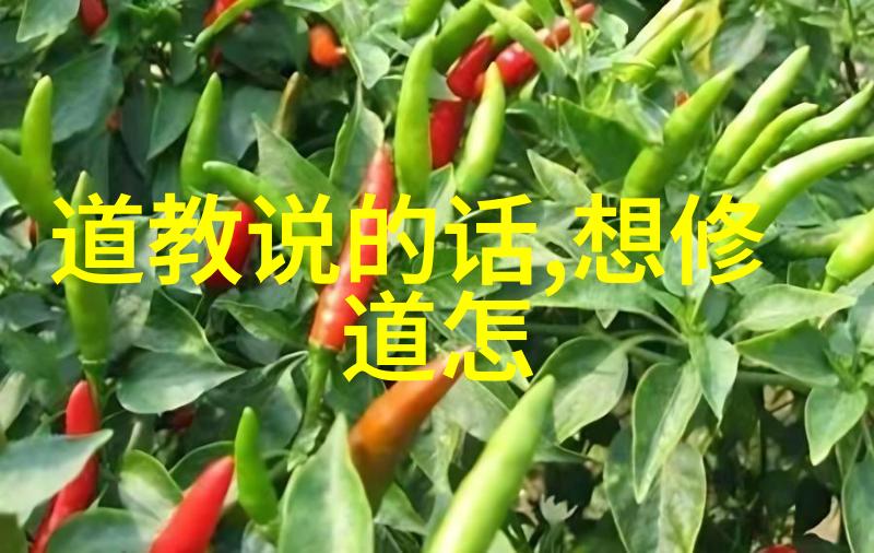 道家代表什么-探索道家的智慧自然和谐与内在之旅