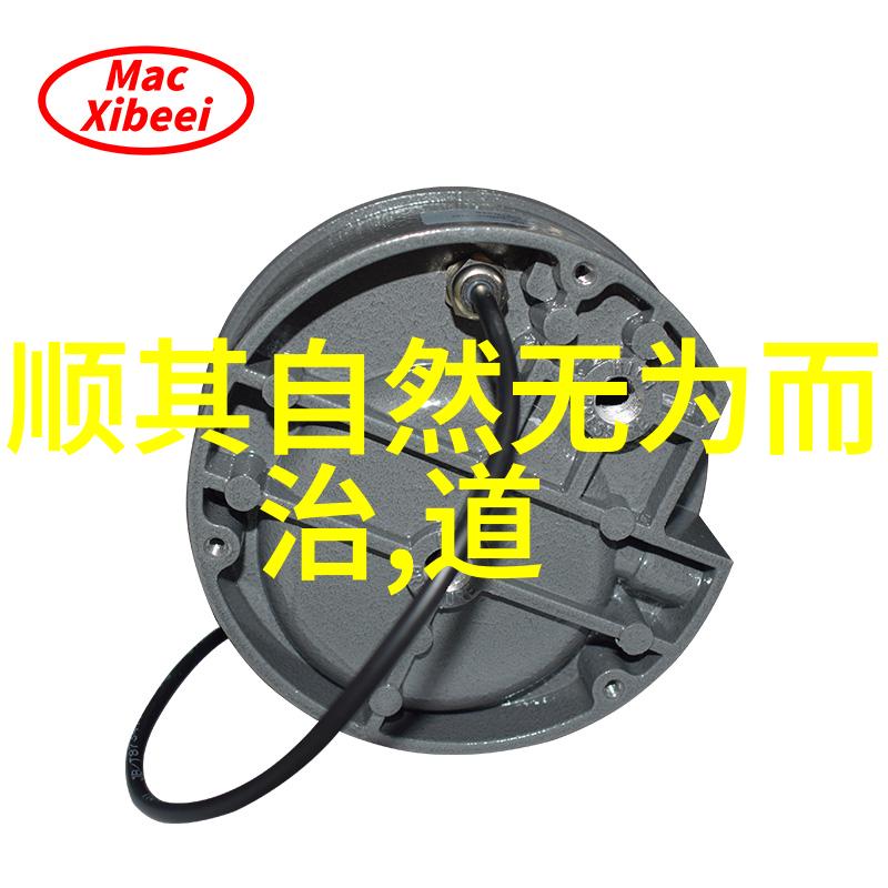 仙缘之谜修仙之路上隐藏的秘密