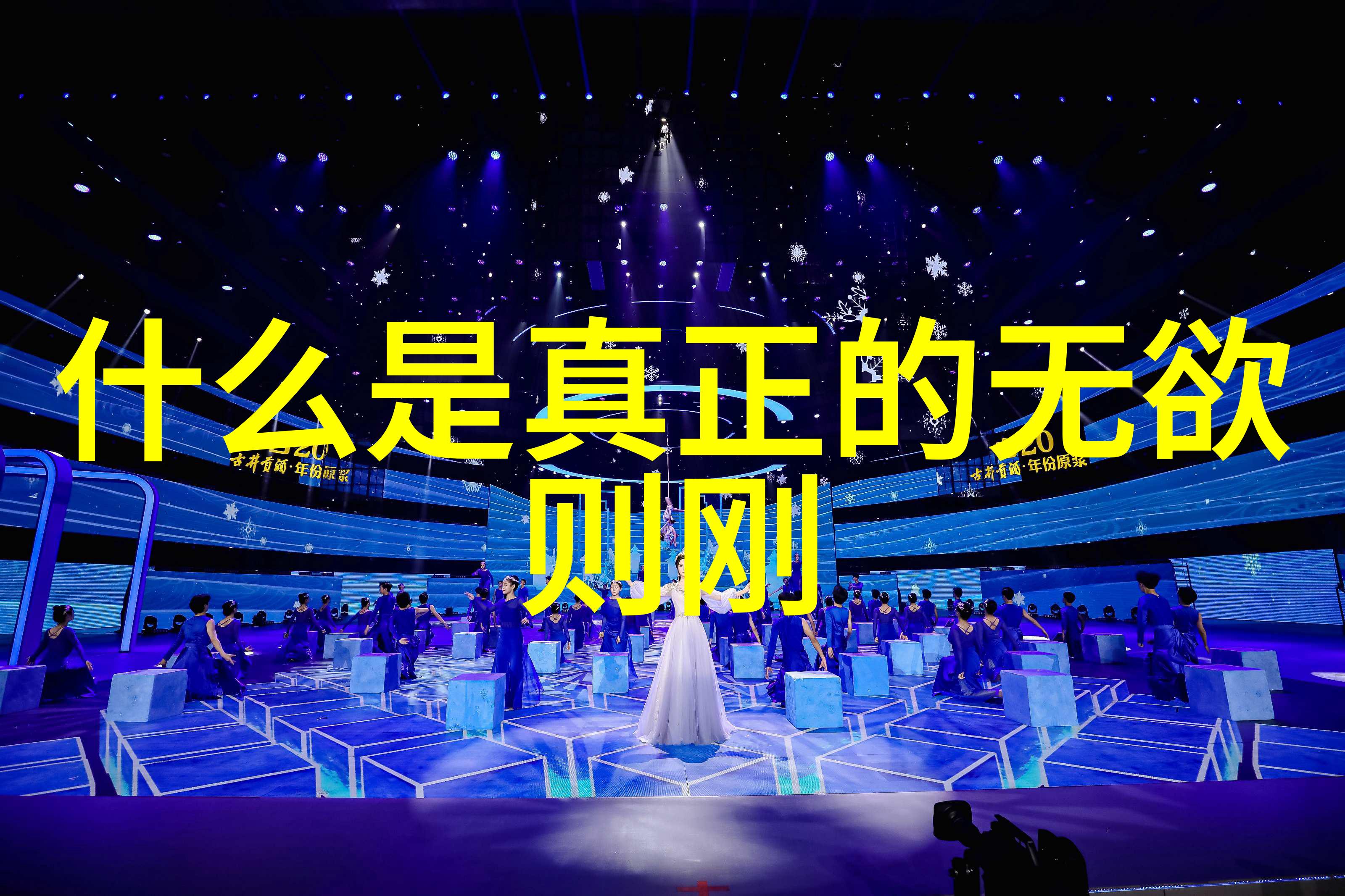 修道入门指南静心冥想禅宗实践与佛教修行的基础