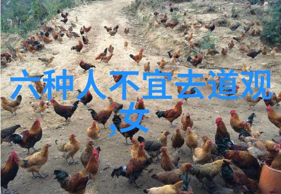 书法鉴赏结课论文笔墨之间的艺术探究