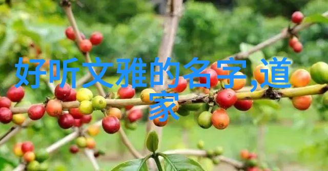 马王堆道德经原文对比我在古籍里找到了道的真谛