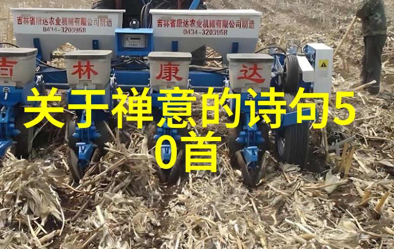 弥勒菩萨佛教中代表慈悲与智慧的重要人物