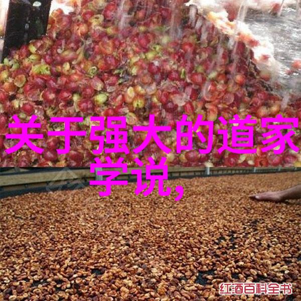 北京白云观丁酉年春节值殿玄门悟道题咏自嘲续一