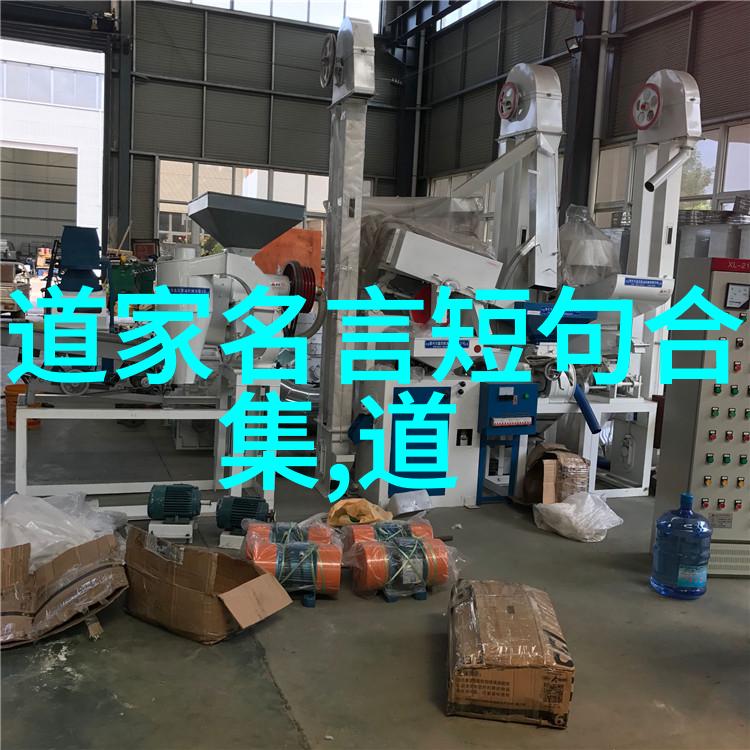 一往無前不为利益所动解析无欲女性的决策逻辑