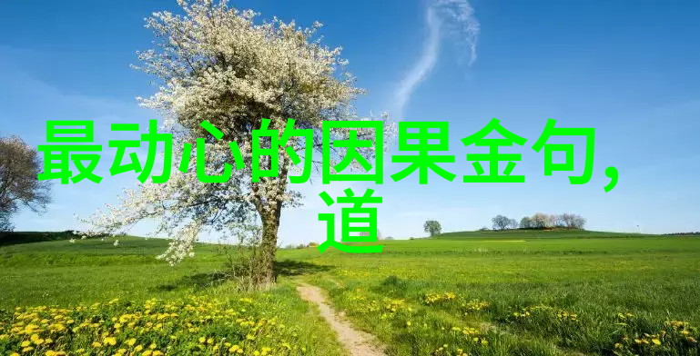道德经中提倡的法自然是否意味着人不需要努力工作或学习才能取得成功