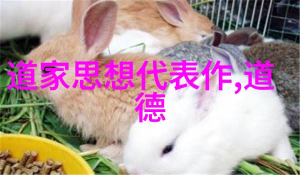 梵高十大名画色彩与情感的辉煌展现