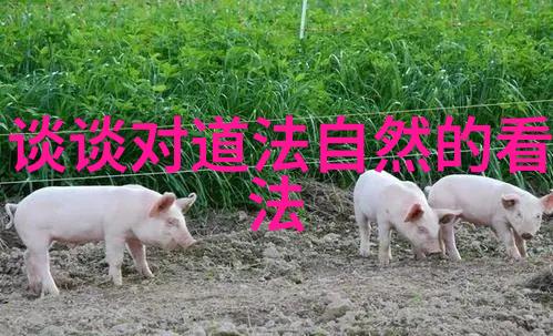 灵魂是否因此得救