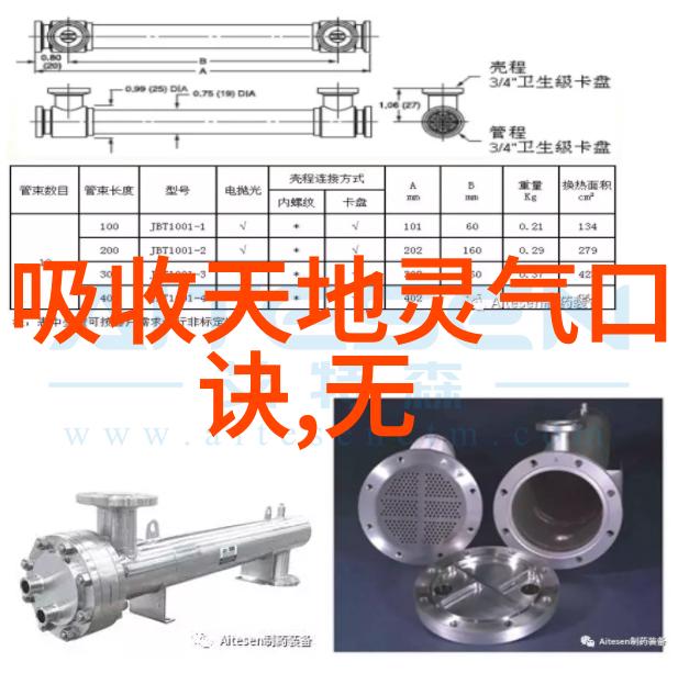 道教高人-当今世间的道教圣贤探寻神秘与智慧