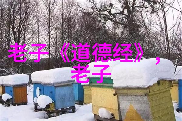 道家婚书-天地合璧探索古代道教婚姻仪式与文本的哲学内涵