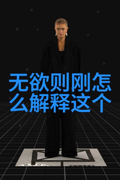 大道至简精华之策的运用与实践