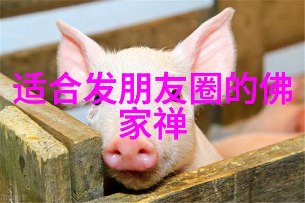中国古代道家智者揭秘他们的生活与思想